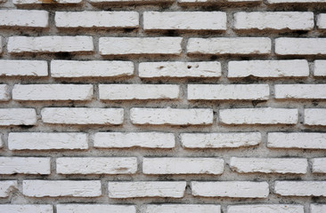 wall