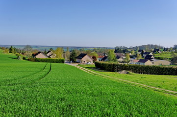 Obraz premium campagne verte