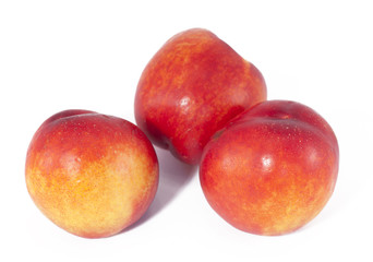 Nectarine