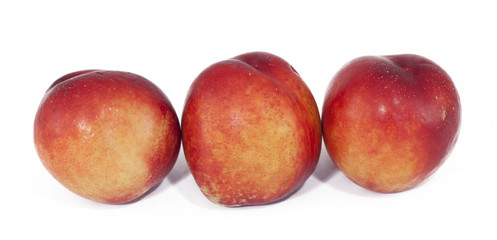 Nectarine