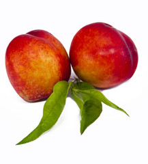 Nectarine