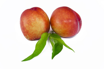 Nectarine
