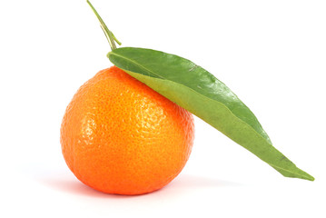 Tangerine