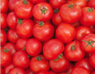 tomatoes