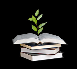 Tree growing from open book