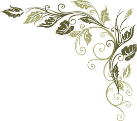 Blätter, Laub, Herbst, filigran, floral, leafes, autumn