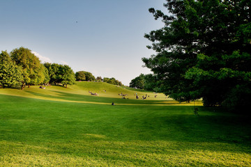 Schönes Wetter im Park