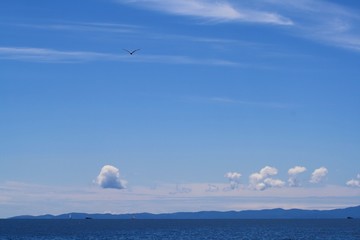 blaue See mit Möwe