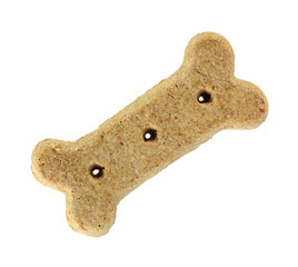 Brown dog biscuit - 23461723