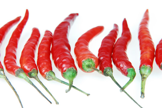 red hot chilli