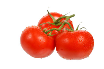 fresh tomatoes on the white background