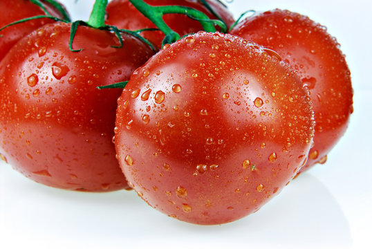 tomatoes