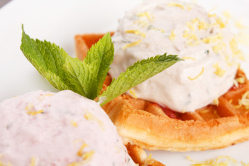 Waffle, whip and mint