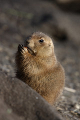 Eating