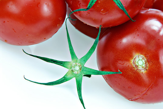 tomatoes