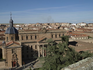 Fototapeta na wymiar Palacio de Anaya desde lo alto de la catedral de Salamanca