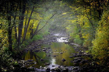 Foggy creek