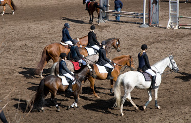 Reitsport