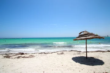 Foto op Plexiglas Tunesië - Djerba - Wilde kust © Phil_Good