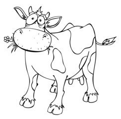 Kuh, Rind, überrascht, verwirrt, Futter, Viehhaltung