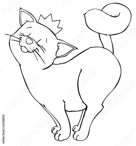 "Katze, Kater, König, Krone, Haustier, Hauskatze" Stockfotos und