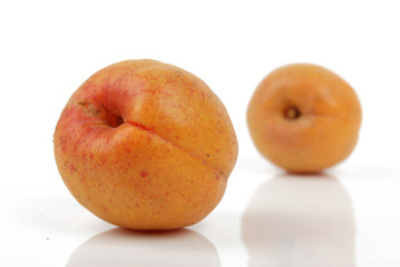 apricot