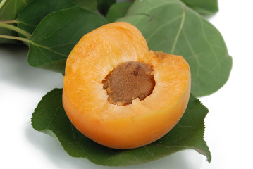 apricot