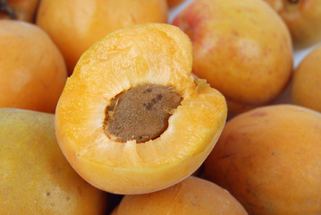 apricot