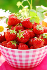 bowl of fresh strawberries