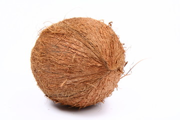 Coconut on white background