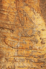 Texture of surface of tree's bark