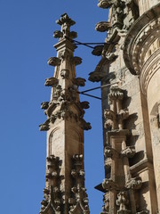 Fototapeta na wymiar Igła w Nowym katedry w Salamance