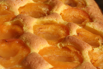 Aprikosenkuchen
