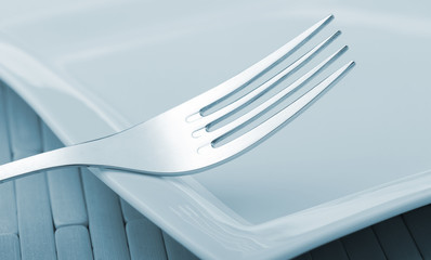 Fork laying on a plate