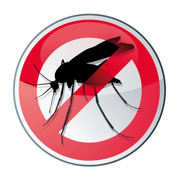 icone diagnostic moustique/ pas de moustique
