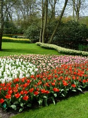 Keukenhof