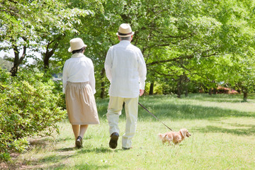 犬と散歩する老夫婦 - obrazy, fototapety, plakaty