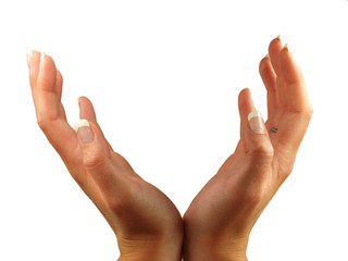 Woman´s hands isolated on white background