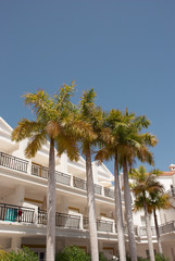 Tropical hotel with palms. Canary Islands.