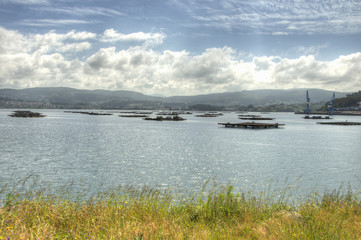 Bateas en la r&iacute;a de Vigo, Galicia