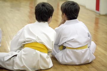 karate boys © Vladislav Gajic