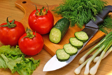 appetizing light vegetables snack