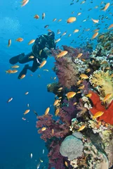 Fotobehang Diver approaching tropical colorful coral reef. © caan2gobelow