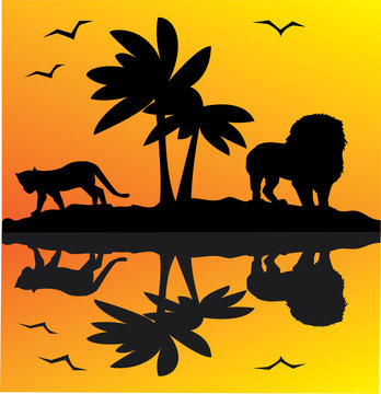 african landscape with reflection