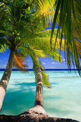 Obrazy na Szkle  Tropikalny raj na Malediwach