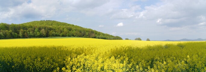 kuppenröhn panorama