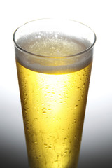 Glass of beer close-up