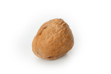 The walnut