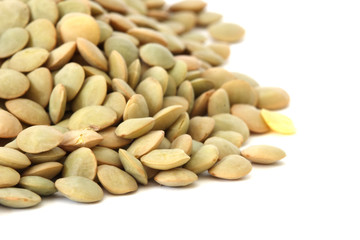 Lentil