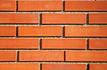 Obraz premium Modern red brick wall